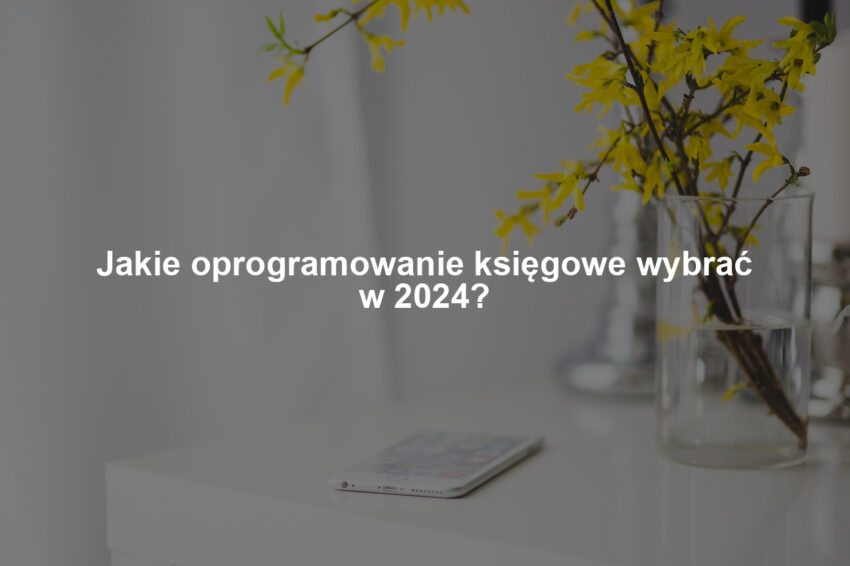 Jakie oprogramowanie księgowe wybrać w 2024?