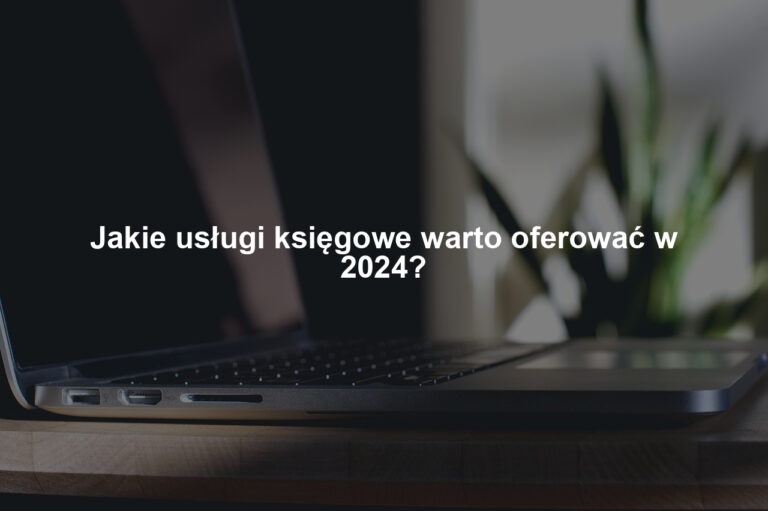 Jakie usługi księgowe warto oferować w 2024?