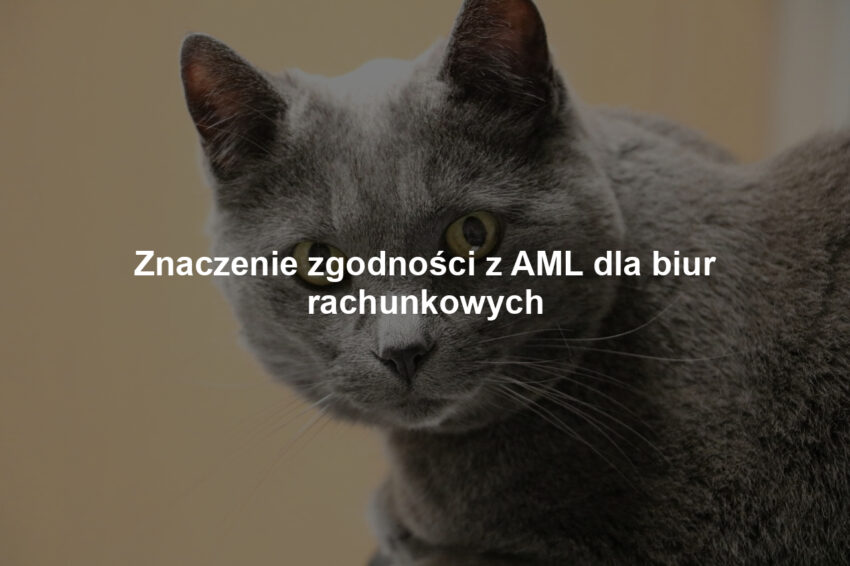 Znaczenie zgodności z AML dla biur rachunkowych